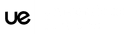 Partner University